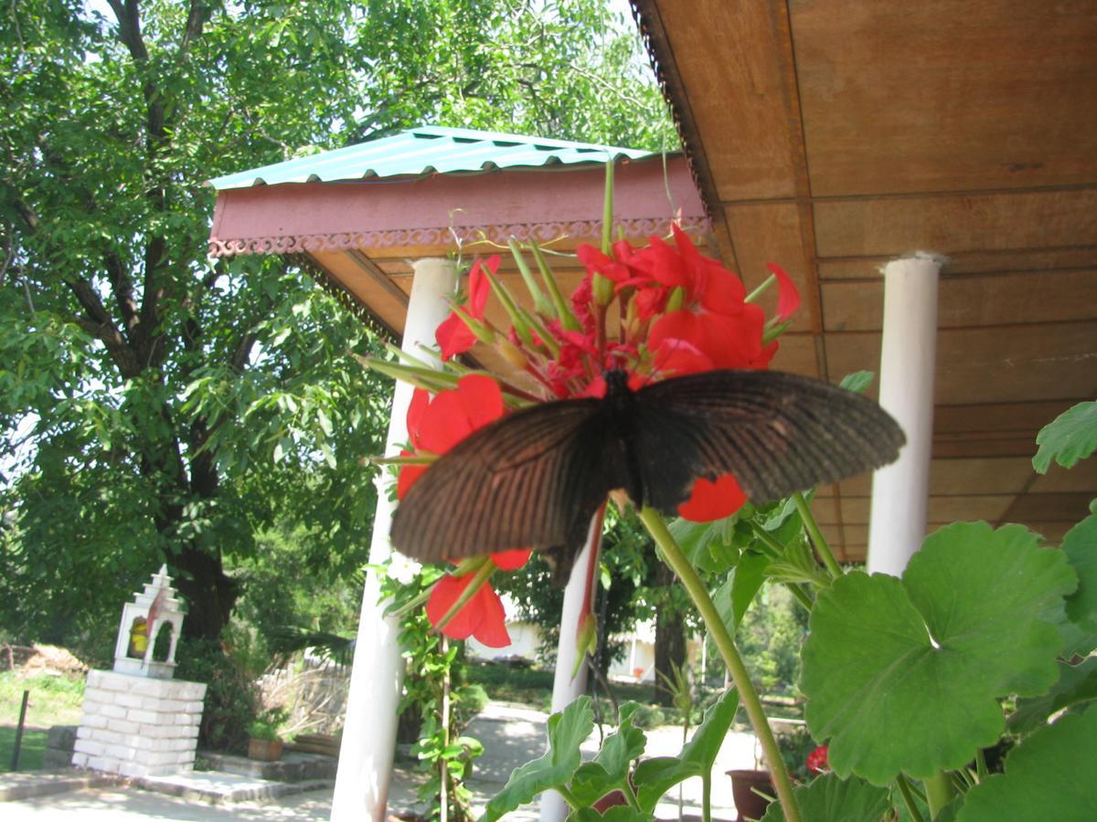 Tatva Bir Tents And Hotel Kangar Экстерьер фото